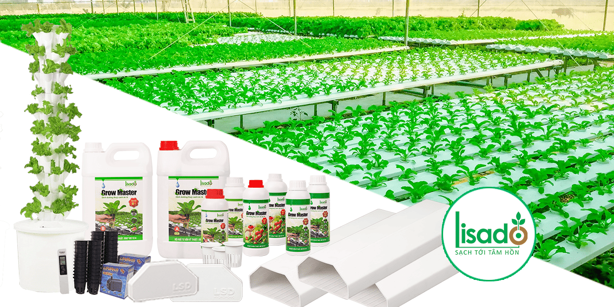 Thi công nhà màng - nhà lưới