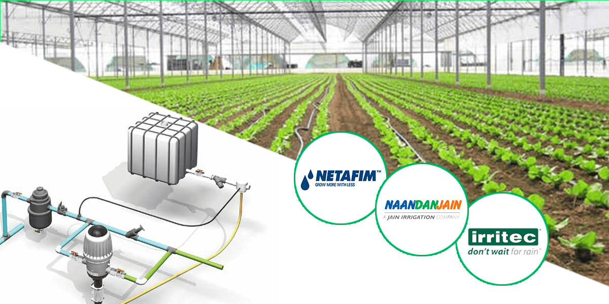 Thi công thủy canh thương mại