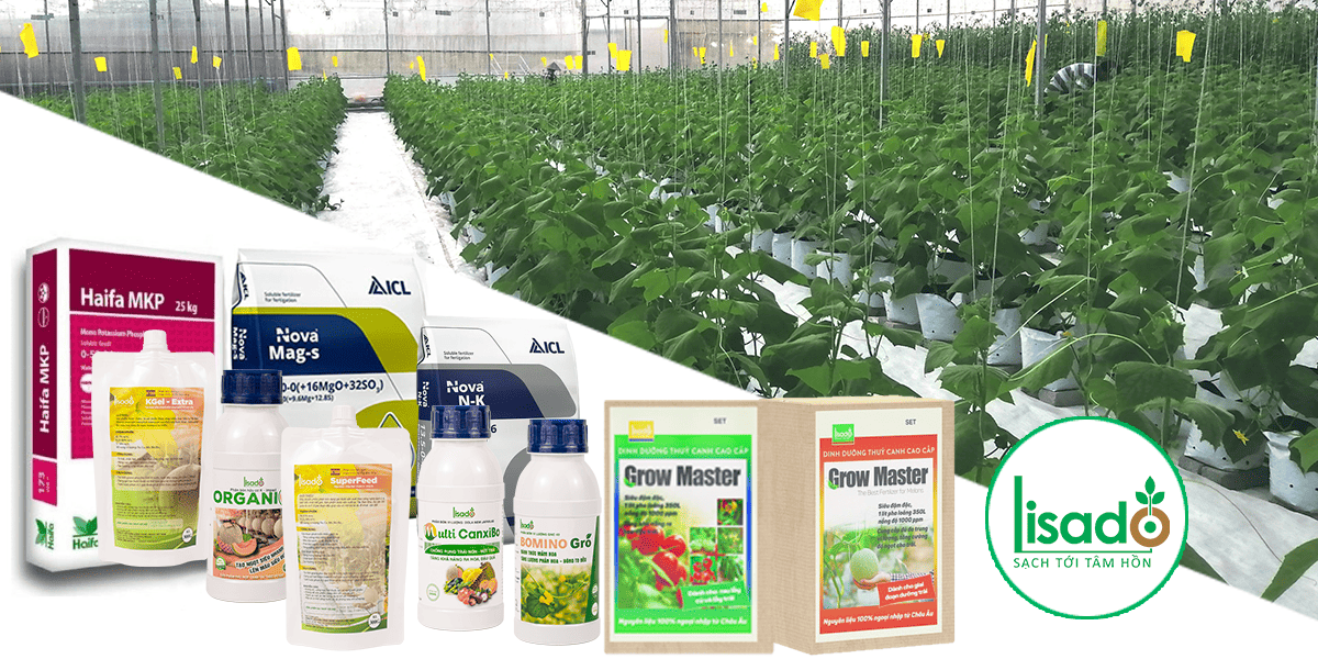 Chuyển giao công nghệ