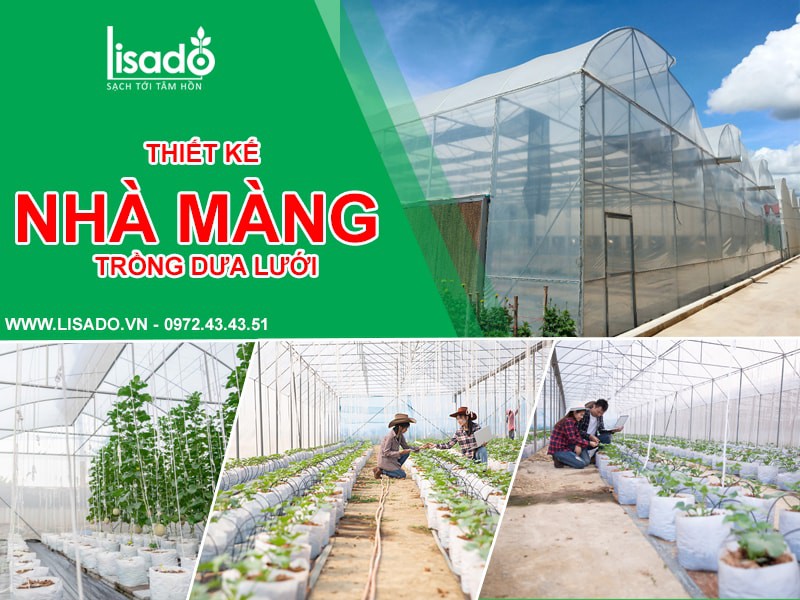 THIẾT KẾ – THI CÔNG NHÀ MÀNG TRỒNG DƯA LƯỚI Copy